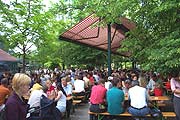 Alles sitzt unter grün (Foto: Martin Schmitz)